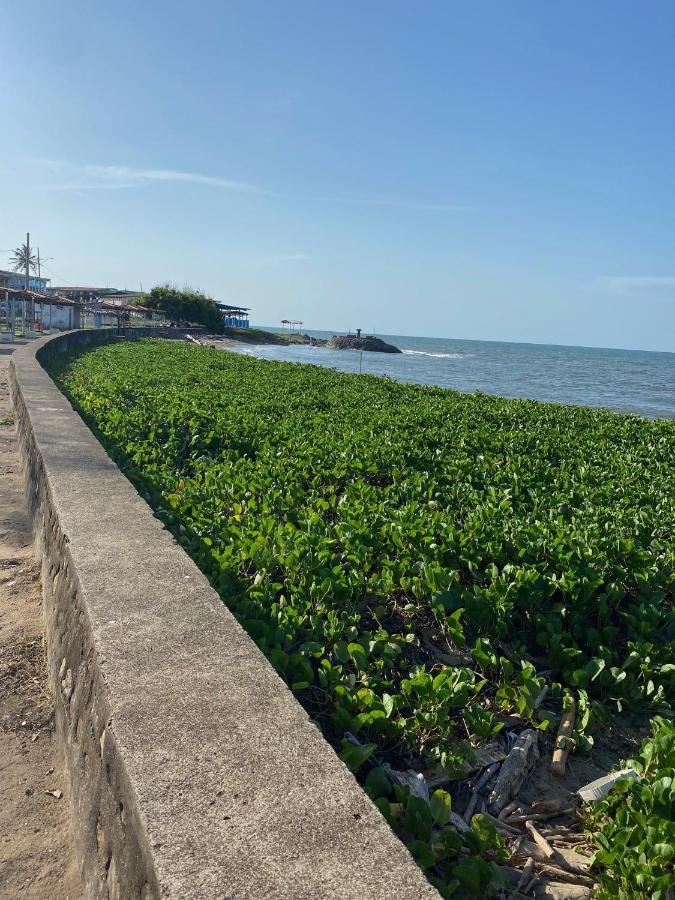 Uverito Sand Dollar B&B Las Tablas Ngoại thất bức ảnh