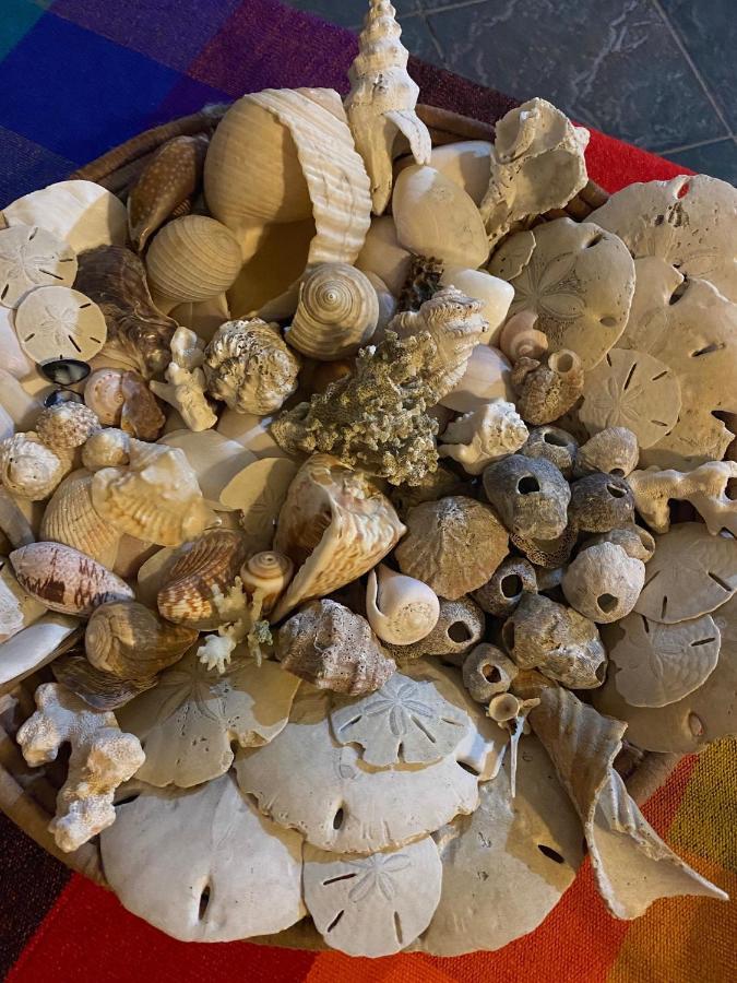Uverito Sand Dollar B&B Las Tablas Ngoại thất bức ảnh